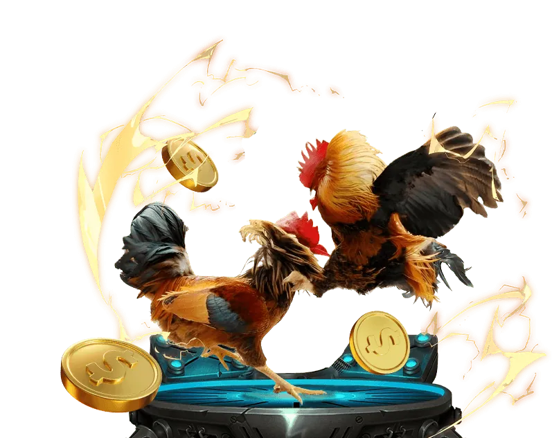 Đa dạng các loại hình đá gà